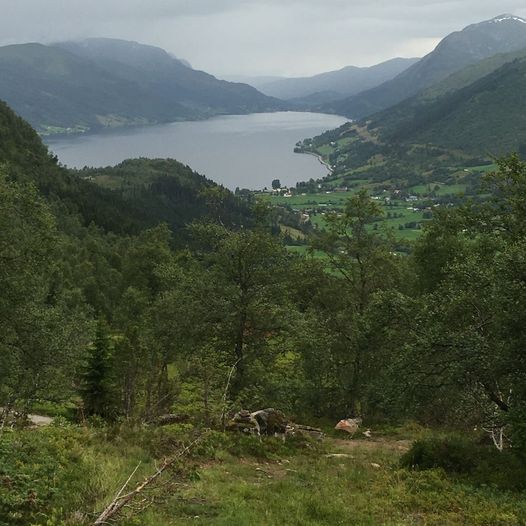 Skarstøylen og Hegrenesnipa 