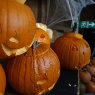 Halloween Kids Trail at Belvoir Castle