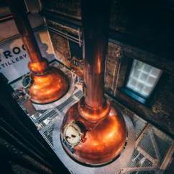 Whisky & Gin Tour at Holyrood Distillery