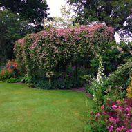 Charity Garden Opening - Thorntree