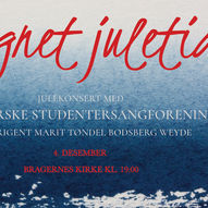 Julekonsert med Den norske Studentersangforening - Bragernes kirke