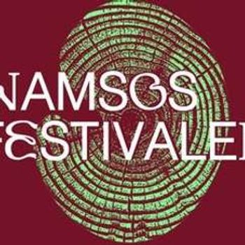 Namsosfestivalen 2024 - Fredagspass