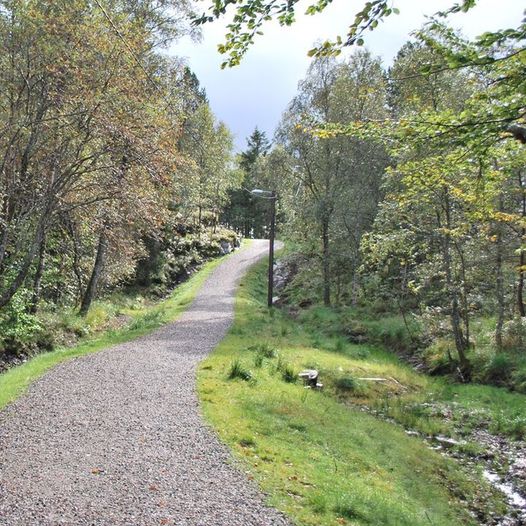 Hellefjellet til Langevatnet