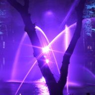 The Enchanted Forest
