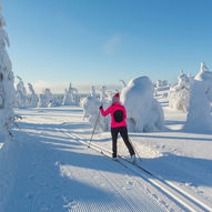 Skitur fra Holmavatn til Bleskestadmoen