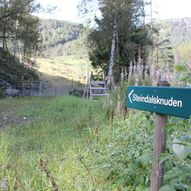 Håghedlar