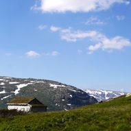 Røldalsvatnet på langs