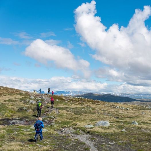 Rundtur på Hardangervidda - Dyranut - Nybu - Halne - Kjækkja - Kjeldebu