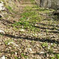 Rundtur Brønndalen-Trollsvann