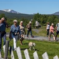 Valdres sommersymfoni | Stølsvandring på Vaset