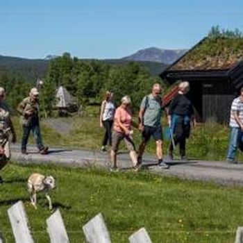 Valdres sommersymfoni | Stølsvandring på Vaset