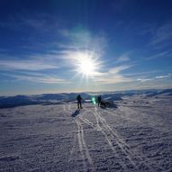 Syndre Knutshøa 1690 moh fra Kongsvoll Fjeldstue                                                                                                                               