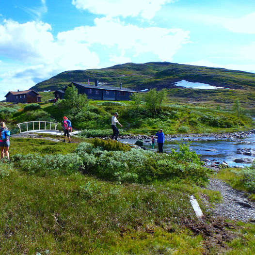 Trekanttur i Sylan; - om Roltdalen og Storerikvollen