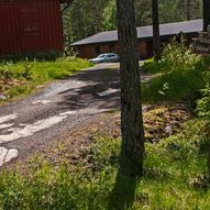 Skogstur fra Dammyra til Størsrudåsen, Bjørnholen, Elghytta og Vivangsmyra