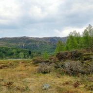 Fottur til Bruviknipa (Brøknipa) fra Hovden