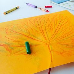 La barna lage kreative kunstverk med høstløv
