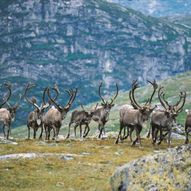 Natur - og kulturtur Hovden - Sloaros