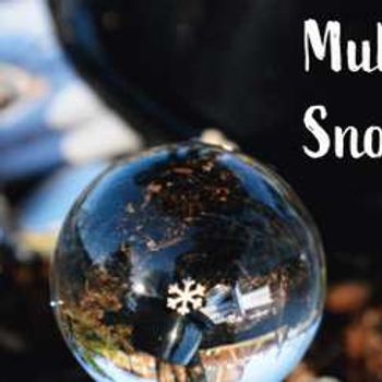 BATS: Mulch & Snowflakes