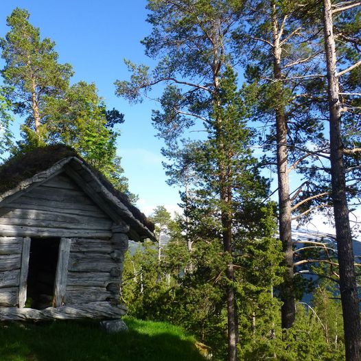 Kulturløype på Ulvedal