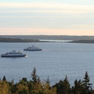 Albyskogen på Jeløy