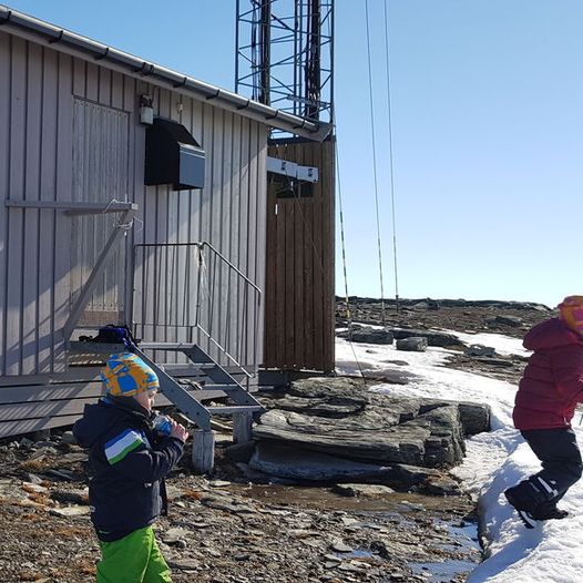 Linken på Louktabouge, Skaidi (359 moh)