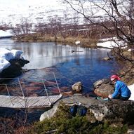 Lurfjellhytta til Børvatnet (Børelva)