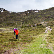 Bankekeila på Arnøya