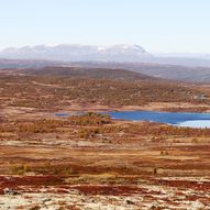 Snarvisitt på Hardangervidda