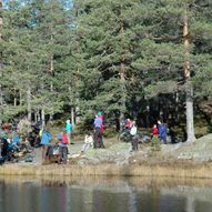 Ulfsbakk til Langevann