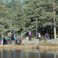 Ulfsbakk til Langevann