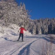 Skitur Totland til Frotveit