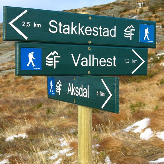 Valhest fra Aksdal