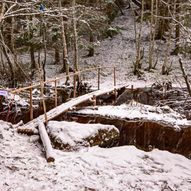 Skogstur til Lundbergåsen og Dragsjøhytta