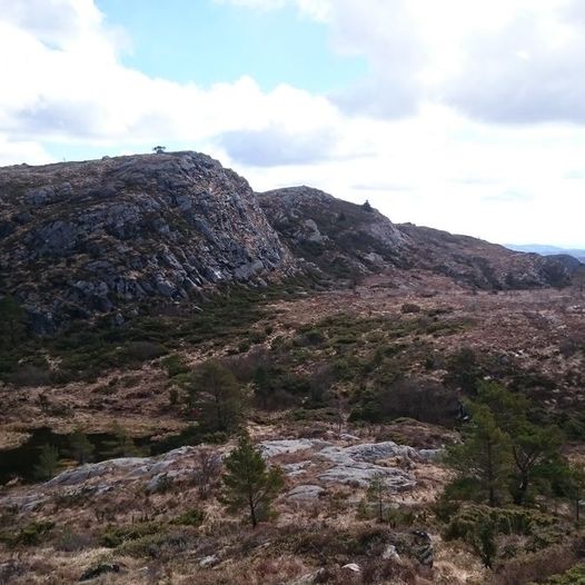 Buafjell og Trolladalen rundtur på Steinsfjellet