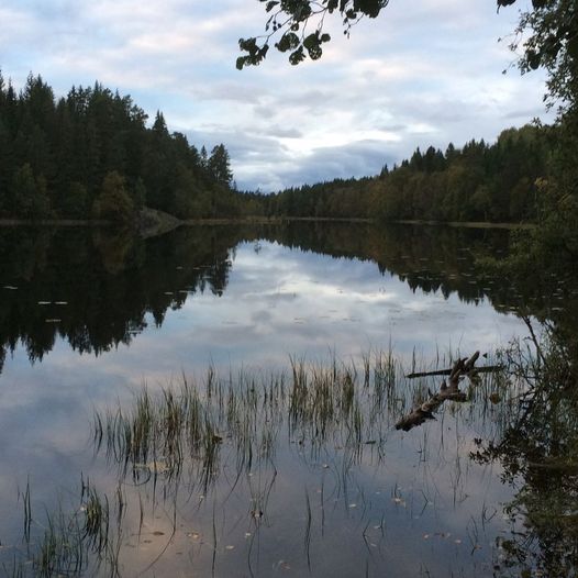 Hvamsåsen rundt - fra Neskollen, 10,5 km.