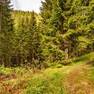 Fetsund til Leirsund via Veståsen og Hauglidfjellet