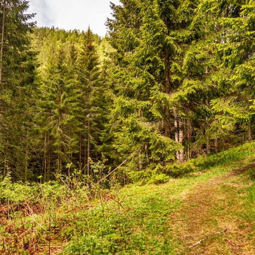 Fetsund til Leirsund via Veståsen og Hauglidfjellet