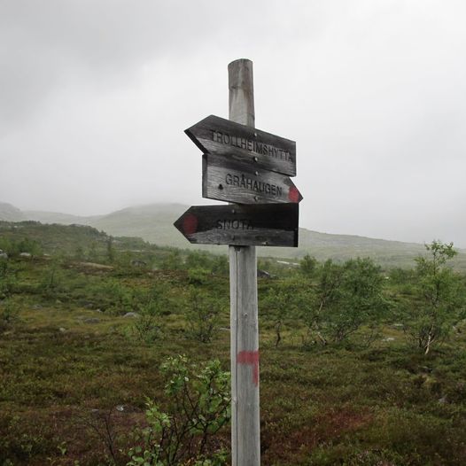 Tur retur Trollheimshytta fra Gråhaugen