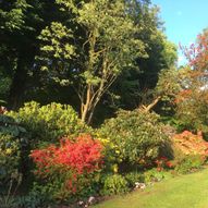 Charity Garden Opening - Kildalloig