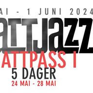 Nattpass 1 // 5 dager // 24 mai - 28 mai // UTSOLGT