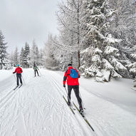 På ski midt på Dovrefjell