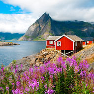 Akvakultur i Vesterålen