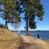 Rundtur Hval i Asker