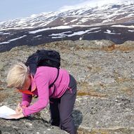 Handelstind, Kvalsund (310 moh) 