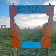 Pumpkin Patch at Davochfin Farm, Dornoch