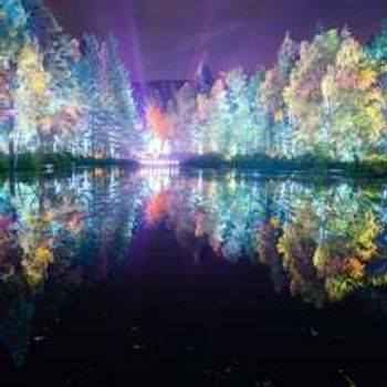 The Enchanted Forest