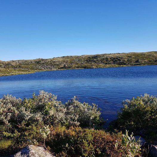 Tur til Liatjønne på Lalm (Vågå)