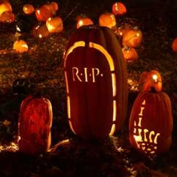 Halloween Half Term