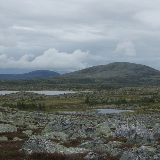 Rundtur nord i Femundsmarka