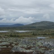 Rundtur nord i Femundsmarka